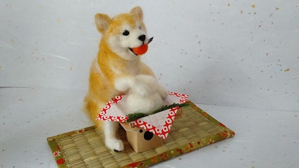 いたずら初め柴ちゃん　鏡餅　お正月飾り　犬　柴犬 1枚目の画像