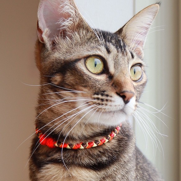 【猫首輪】ソレイユ 19年モデル　組紐と安全磁石の和首輪/安全＆取り外し簡単 1枚目の画像