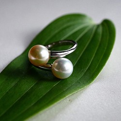 [一件式] Akoya珍珠新月和滿月雙胞胎戒指兩色自由尺寸的珍珠雙胞胎戒指[Creema limited] 第1張的照片