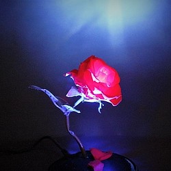 暗くなると光る魔法の赤いバラ～光る花 1枚目の画像