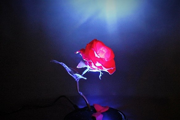 暗くなると光る魔法の赤いバラ～光る花 1枚目の画像
