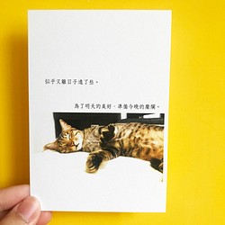 明日の美しさ|詩の作成詩カード/カード/ポストカード/ストーリーカード温清猫少女癒しのオフィス研究小さなもの写真 1枚目の画像