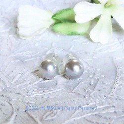 K14WG tiny silver Akoya pierced earrings 1枚目の画像