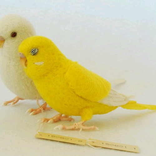 セキセイインコ 白 黄色 ペア 羊毛フェルト Primary Color Craft 通販 Creema クリーマ ハンドメイド 手作り クラフト作品の販売サイト