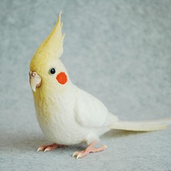 オカメインコ ルチノー 1604073 羊毛フェルト Primary Color Craft