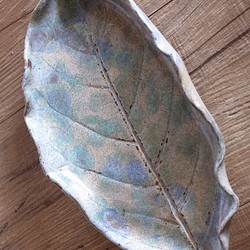 Tiner&#39;s No. 188 &lt;薄緑色の披針形の葉を手で絞った大皿&gt; 1枚目の画像