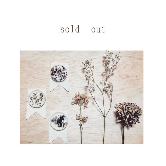 sold out 1枚目の画像