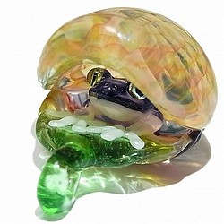 Frog in the Shell 弐 【 kengtaro / ケンタロー 】 カエル ボロシリケイトガラス 職人 1枚目の画像