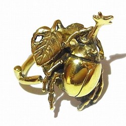 「甲殼蟲環“環珠寶可愛獨特的女性自然可愛的昆蟲進口黃金 第1張的照片