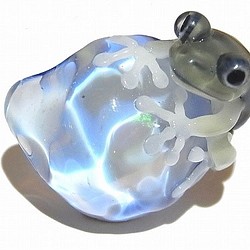 水（VOL.2）[kengtaro /健太郎]青蛙硼矽酸鹽玻璃工匠作家蛙青蛙青蛙一個點 第1張的照片