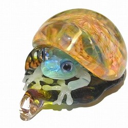 青蛙殼4【肯塔羅/ Kentaro】青蛙硼矽玻璃工藝品作家 第1張的照片