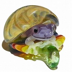 Frog in the Shell 五【 kengtaro ケンタロー 】 カエル ボロシリケイトガラス 職人 作家 蛙 1枚目の画像