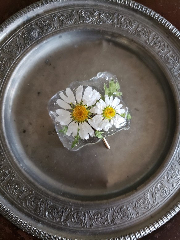 再販　本物のお花のポニーフック　　ノースポール 1枚目の画像