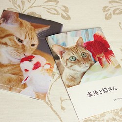 金魚と猫さん 1枚目の画像