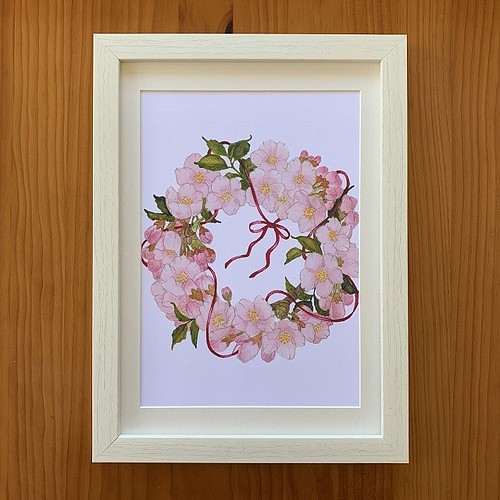 シクラメン」原画【ボタニカルアート/植物画/水彩画/ピンク系/草木花の