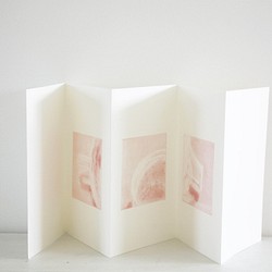 カップの絵・ピンクの銅版画「 days 」( アコーディオンブック）・送料無料 1枚目の画像