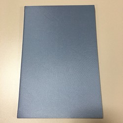 新色 願書ファイル 書類ケース A5サイズ お受験 お子様に 手帳カバー