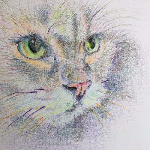 ねこ【原画 B5サイズ 色鉛筆画】 絵画 ちさと 通販｜Creema(クリーマ)