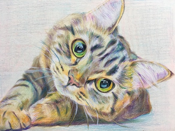 猫 ネコ【原画 ポストカードサイズ 色鉛筆画】 絵画 ちさと 通販 