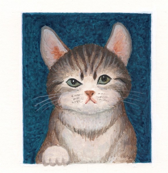 ニャンだ / 猫の絵葉書・ポストカード　選べる3枚セット 1枚目の画像