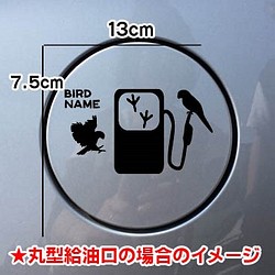 送料無料 インコ 鳥 ステッカー リアガラス 給油口 車 愛鳥家 シール ステッカー Mikan 通販 Creema クリーマ ハンドメイド 手作り クラフト作品の販売サイト