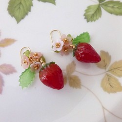 ★2020年新款★花草莓耳環和耳環 第1張的照片