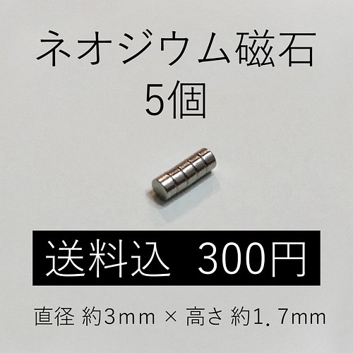 送料無料】小型 ネオジウム磁石 5個組 金具・チェーン shizuku 通販