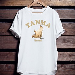 アザラシTシャツ「TANMA」 1枚目の画像