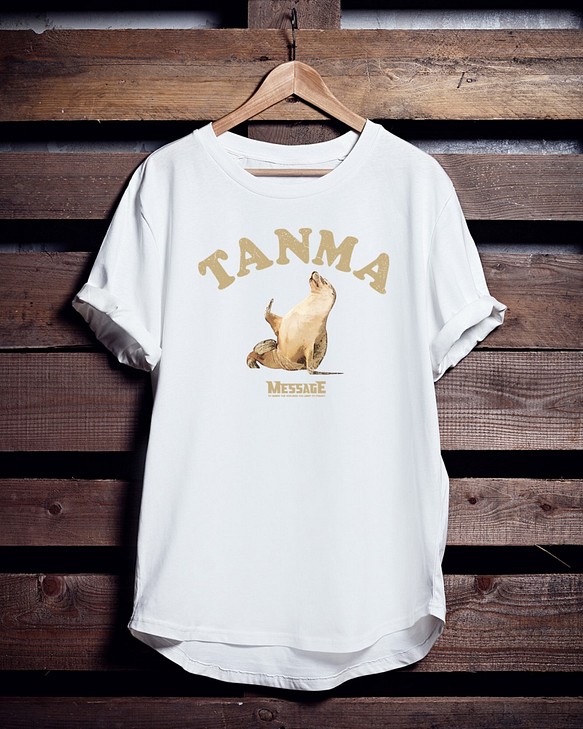 アザラシTシャツ「TANMA」 1枚目の画像