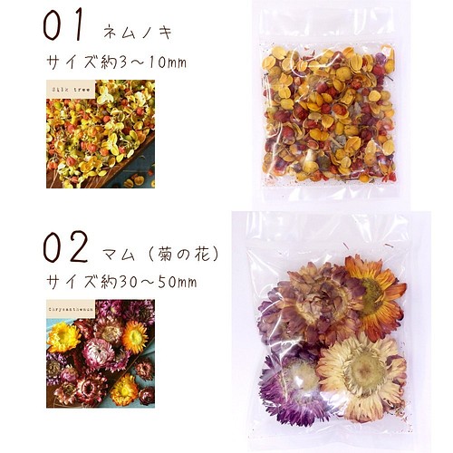 02 マム 菊の花 ナチュラルドライフラワー １０種 ネイル レジン封入 ガラスドーム ハーバリウムに その他素材 アロマヴァンヴェール 通販 Creema クリーマ ハンドメイド 手作り クラフト作品の販売サイト