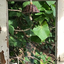 「小皮傘」竹土石山 chuhsienearth 13 石山系列 日式風鈴 聽見風的聲音 蘑菇 香菇 草菇 菌褶 雨傘 第1張的照片