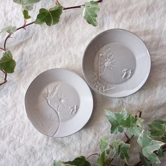 「フランネルフラワー・ラウンドＳ（２色）」豆皿 小皿　プチプレート ボタニカル 植物 陶器 陶磁器　ギフト　洋食器 1枚目の画像