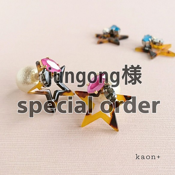 jungong様special order K14gf bekko pink ﾘﾊﾞｰｼﾌﾞﾙ ﾋﾟｱｽorｲﾔﾘﾝｸﾞ 1枚目の画像
