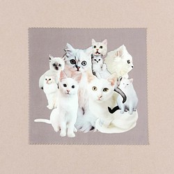 &lt;Cats_collage&gt;白貓/可可清潔眼鏡的拼貼畫 第1張的照片
