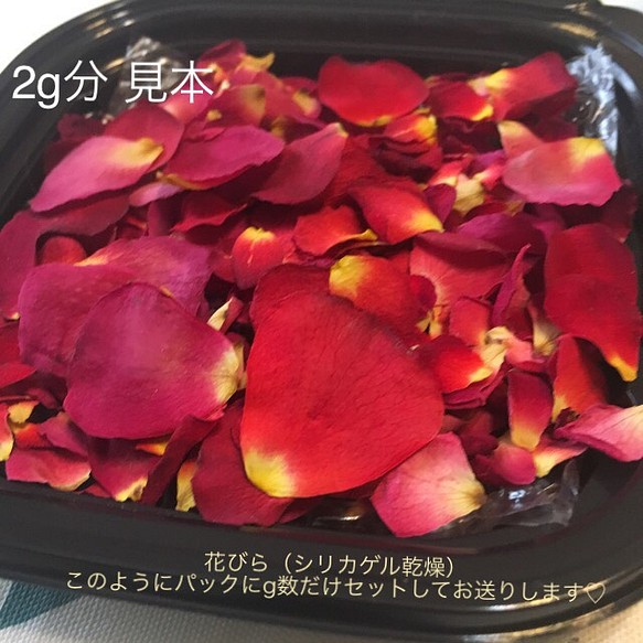 ミニバラ 花びら2g 大小mix 新着 ドライフラワー 押し花素材 花弁ミニローズ ミニ薔薇 レジン加工にも