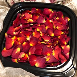 ミニ薔薇の花びら 赤色 2gセット ドライフラワー 花弁ミニローズ ミニバラ 押し花素材にも その他素材 ミニローズ 通販 Creema クリーマ ハンドメイド 手作り クラフト作品の販売サイト
