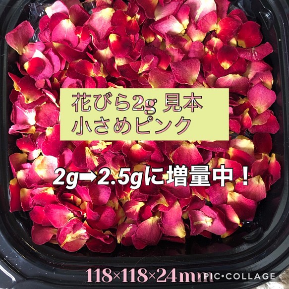小さなミニ薔薇の花びら 小さめピンク 2g 2 5gに増量中です 花弁ミニローズ 押し花素材にも その他素材 ミニローズ 通販 Creema クリーマ ハンドメイド 手作り クラフト作品の販売サイト