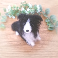 羊毛フェルト　ボーダーコリー　ミニチュア　犬 1枚目の画像