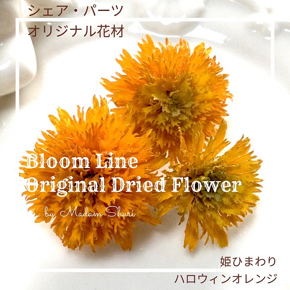 R３年製 姫ひまわり ３輪 パンプキンオレンジ ドライフラワー その他素材 シェア パーツ Bloom Line 通販 Creema クリーマ ハンドメイド 手作り クラフト作品の販売サイト