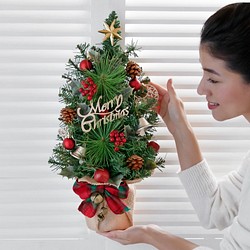 注目ブランドのギフト 壁掛けクリスマスツリー Wallxmastree 花 木の実 枝葉 果実アートフラワー Amperklub Hu