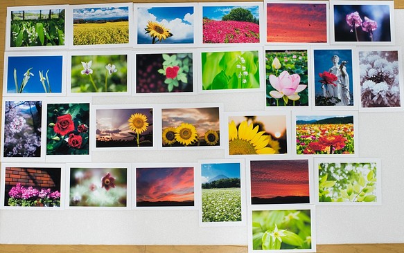 Lサイズの写真・花と風景色々26枚セット(L011) 1枚目の画像