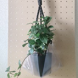 観葉植物　植木鉢カバー　プラントハンガー　スケルトビニール製 1枚目の画像
