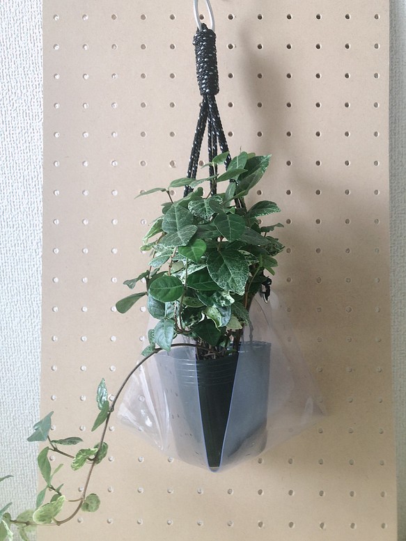 観葉植物　植木鉢カバー　プラントハンガー　スケルトビニール製 1枚目の画像