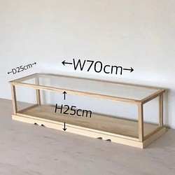 24時間限定 サイズオーダー可 木製 2段 ガラスケース ショーケース 小さな食器棚 卓上サイズ 最終値下げ