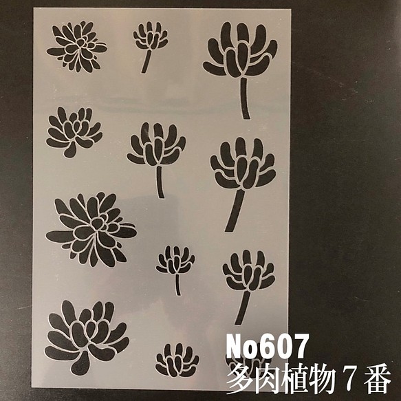 多肉植物7番　イラスト　乙女心　ステンシルシート　型紙 図案　NO607