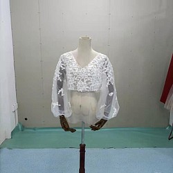 ウエディングドレス ボレロ     3D立体レース刺繍    Vネックドレス  長袖　  結婚式/披露宴 1枚目の画像