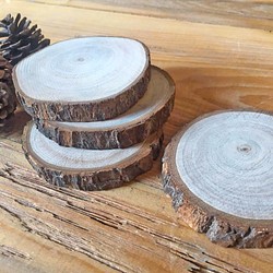 台湾製樹皮スライスユーカリ/ハンドカット/木製コースター 1枚目の画像