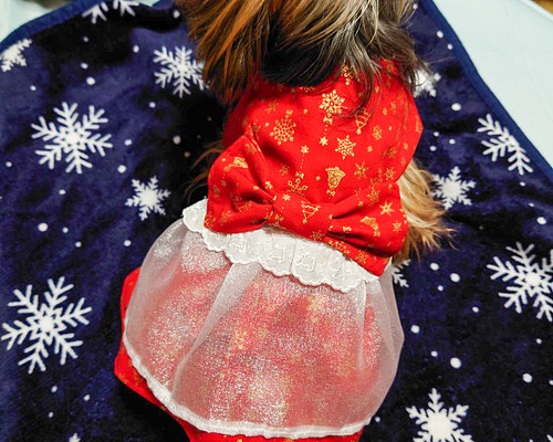 2022新柄追加♪クリスマスワンピース♪着せやすい犬服 オーダーメイドで！