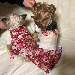 再再販！着せやすい犬服・くまさん柄ワンピース・オーダーメイドで