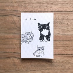 グッドニューライフポストカード-百匹の猫を吸う 1枚目の画像